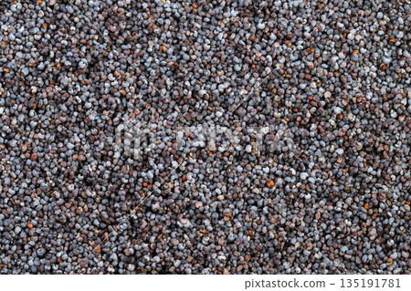 Harvested poppy seeds ready for packaging, Bulk poppy seeds prepared for market distribution, Closeup of poppy seed mound showcasing harvest quality for commercial presentation Harvested poppy seeds ready for packaging, Bulk poppy seeds prepared for market distribution, Closeup of poppy seed mound showcasing harvest quality for commercial presentation 135191781
