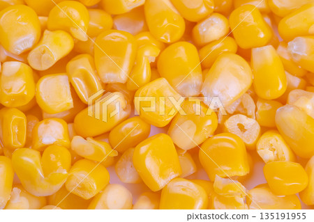 Macro farm fresh sweet corn kernels showing harvest quality and organic appeal, closeup emphasizes natural sheen and farmtotable narrative for agricultural and produce marketing 135191955
