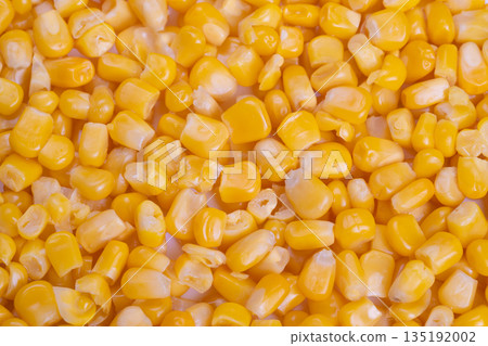 Close up blanched corn kernels cooling on tray, production line quality control scene, packer checking texture and color, food factory lighting and stainless steel surfaces 135192002