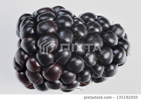 Closeup organic blackberries with natural imperfections, matte sheen, color range from maroon to black, soft lighting, authentic food sourcing concept for labels and packaging 135192050