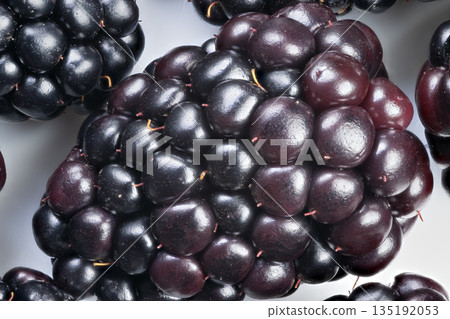 Studioisolated single blackberry with fine detail, dewlike gloss, pale gray backdrop, sharp macro focus highlighting drupelet reflections, ideal for ingredient spotlight 135192053
