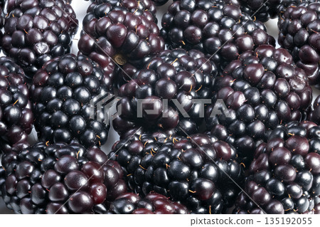 Closeup freshly harvested blackberries with rustic texture and subtle soil flecks, natural color gradients, soft daylight mood for farm branding and farmers market signage 135192055