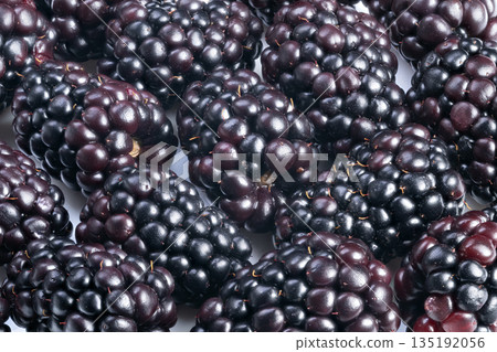 Macro blackberry surface showcasing drupelet structure, high magnification detail, deep purpleblack hues, reflective highlights, nutritional mood for superfood promotions 135192056