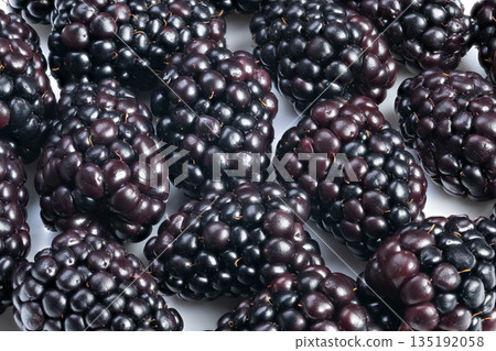 Detailed closeup of dark shiny blackberries on plain background, Highresolution image of glossy blackberries with natural shine on white backdrop for various uses Detailed closeup of dark shiny blackberries on plain background, Highresolution image of glossy blackberries with natural shine on white backdrop for various uses 135192058