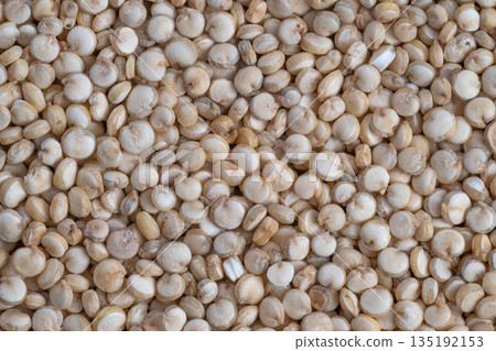 Laboratory analysis of quinoa grains, Microscopic examination of quinoa seed samples, Detailed laboratory testing and microscopic analysis of quinoa seeds for research purposes Laboratory analysis of quinoa grains, Microscopic examination of quinoa seed samples, Detailed laboratory testing and microscopic analysis of quinoa seeds for research purposes 135192153