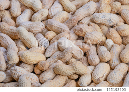 Uncooked peanut shells arranged for industrial style roasting process, Raw peanut shells with textured surfaces ready for artisan roasting procedure in busy kitchen environment 135192303