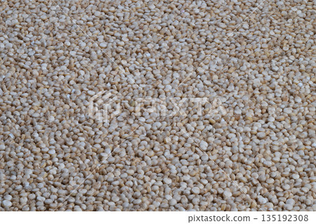 Neutral beige packaging background, High resolution macro quinoa for branding, Detailed macro image of beige quinoa ideal for professional packaging and branding visuals Neutral beige packaging background, High resolution macro quinoa for branding, Detailed macro image of beige quinoa ideal for professional packaging and branding visuals 135192308