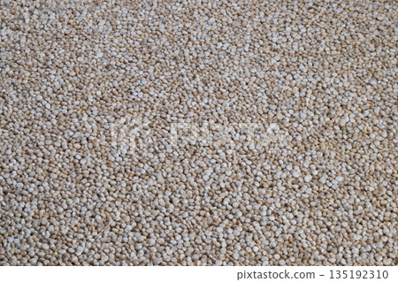 Earthy vibe visuals, Raw quinoa seeds highlight genuine farm freshness, Tactile surface of pale quinoa seeds illustrates organic appeal and sustainable food concepts 135192310