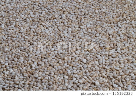 Quinoa storage depiction, Granular white quinoa arranged in large industrial storage units, Heap of natural beige quinoa stored for bulk industrial distribution and supply Quinoa storage depiction, Granular white quinoa arranged in large industrial storage units, Heap of natural beige quinoa stored for bulk industrial distribution and supply 135192323