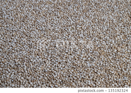 Highresolution image capturing delicate color differences in quinoa grains, Closeup macro photograph emphasizing gentle textures and subtle hues of quinoa kernels 135192324