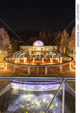 群馬花公園Plus燈光秀 135192402