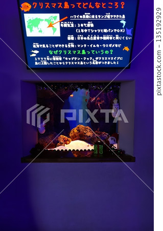 Aquarium scenery Aquarium scenery 135192929