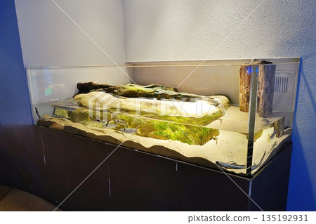 Scenery of Shimane Aquarium Aquas Scenery of Shimane Aquarium Aquas 135192931