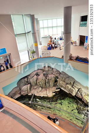 Scenery of Shimane Aquarium Aquas Scenery of Shimane Aquarium Aquas 135192933