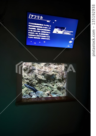 水族館風景 135192938