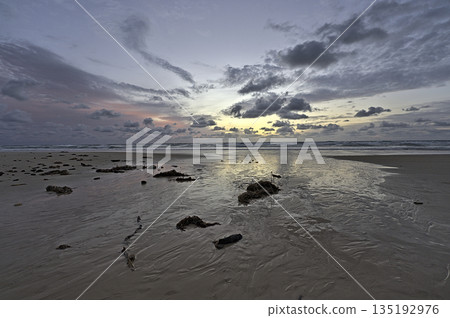 Sunrise at Frazer Islands with a cloudy sky Sunrise at Frazer Islands with a cloudy sky 135192976