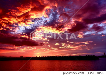 清晨的陽光 清晨的陽光 135193056