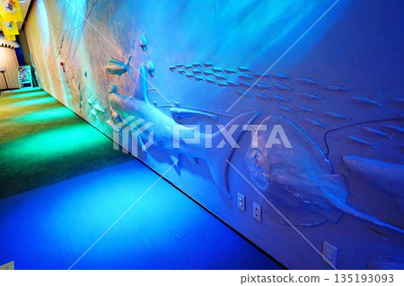 The passageway of Shimane Aquatic Museum Aquas The passageway of Shimane Aquatic Museum Aquas 135193093