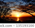 Shonan 135193100
