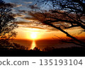 Shonan 135193104