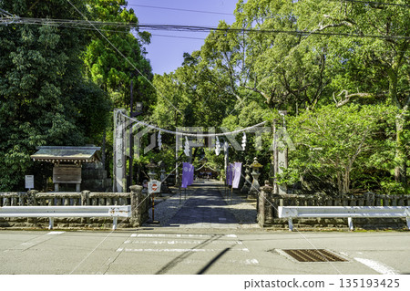 Wakamiya Hachiman Shrine, Shimenawa Pillar, Kochi City, Kochi Prefecture 135193425