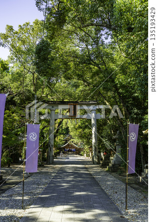 Wakamiya Hachiman Shrine Torii Gate Kochi City Kochi Prefecture 135193429