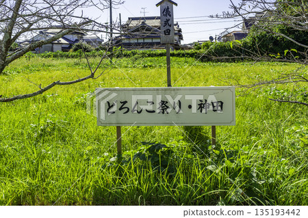 Wakamiya Hachiman Shrine Doronko Festival (Kanda Festival) Kochi City, Kochi Prefecture 135193442