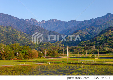 Mount Nagata and rice fields Yakushima, the island where the gods reside (Spring 135193825