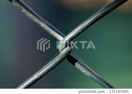 Abstract macro shot of a green wire fence junction with soft green and blue bokeh 135193905