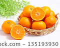 Lots of tangerines 135193930