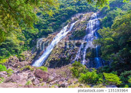 大川瀑布，日本百大瀑布之一，屋久島國立公園（春季） 135193964