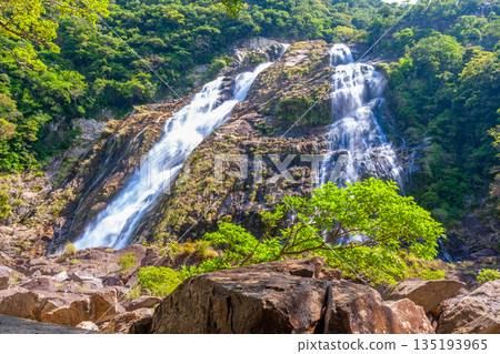 大川瀑布，日本百大瀑布之一，屋久島國立公園（春季） 135193965