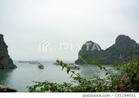 Halong Bay, one of Vietnam's World Heritage Sites 135194051