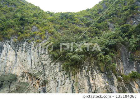 越南世界遺產地之一的下龍灣，擁有奇特的岩石構造和植物。 135194063