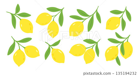 Lemons with leaves in flat style illustration 135194232