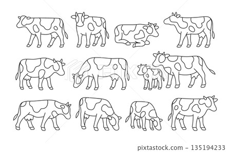 Line art cow set in black outline. Minimal stylized bundle of dairy cows in various poses 135194233