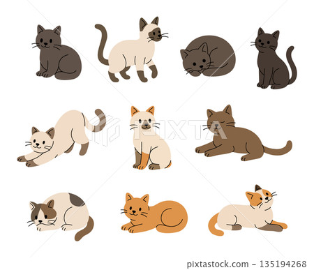 Set of cute cats in different poses and colors. Flat vector illustration of kittens sitting, sleeping, stretching and playing for pet and animal themes 135194268