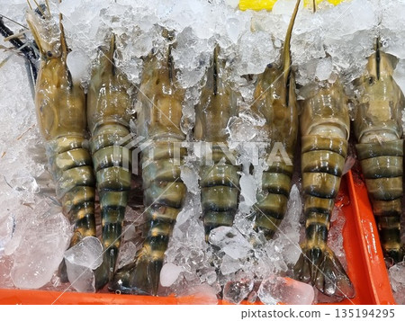 Fresh giant freshwater prawns displayed on crushed ice in a seafood market. Large raw river shrimp with dark stripes arranged vertically for sale. High quality crustacean seafood ingredient. Fresh giant freshwater prawns displayed on crushed ice in a seafood market. Large raw river shrimp with dark stripes arranged vertically for sale. High quality crustacean seafood ingredient. 135194295