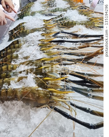 Large fresh giant river prawns with distinctive blue legs displayed on crushed ice at a local seafood market. Hand pointing at the quality. Raw seafood concept for gourmet cooking and retail. 135194296