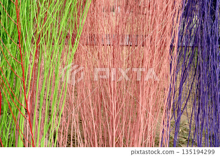 Vibrant close-up of decorative dried branches painted in bright green, red, pink, and purple colors. Artistic vertical natural texture and colorful background for creative design projects. Vibrant close-up of decorative dried branches painted in bright green, red, pink, and purple colors. Artistic vertical natural texture and colorful background for creative design projects. 135194299