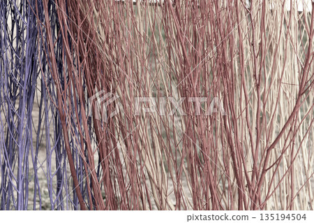 Decorative bundle of thin painted branches in shades of purple, red, and beige. Vertical arrangement of slender twigs creates a dense natural texture for rustic crafts and home decor. 135194504
