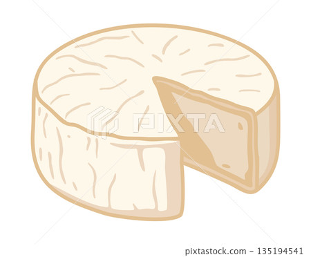 White brie cheese. Vector isolated illustration 135194541