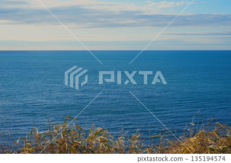 A quiet coastal landscape of the sea and dead grass A quiet coastal landscape of the sea and dead grass 135194574