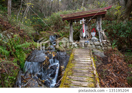 深秋時節的早神社，一座供奉不動明王和瀨織姬的神社。 135195204