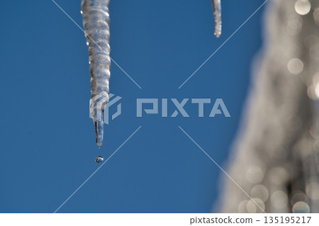 Icicles melting in the warm air of a clear sky Icicles melting in the warm air of a clear sky 135195217