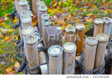 秋日景色，竹捆成束，落葉紛飛。 135195266