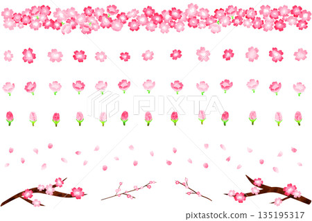 Watercolor cherry blossom line material Watercolor cherry blossom line material 135195317
