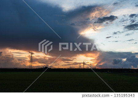 【鄉村景色】夕陽西下,稻田上聳立著鋼鐵高塔。 【鄉村景色】夕陽西下,稻田上聳立著鋼鐵高塔。 135195343
