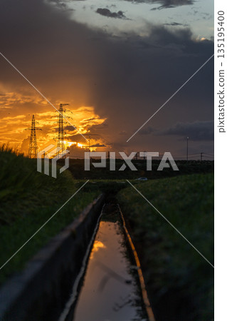 [Countryside scenery] Sunset sky and steel towers over rice fields 135195400