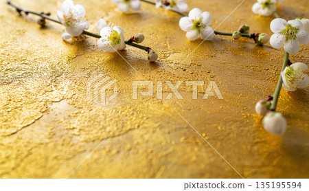 李子色背景材質紋理白色留白 135195594